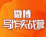 村西边老王·微博超级写作实战营,帮助你粉丝猛涨价值999元-淘金日记