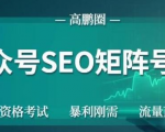 高鹏圈公众号SEO矩阵号群,实操20天纯收益25000+,普通人都能做-淘金日记