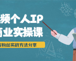 短视频个人IP商业实操课，百万粉丝实战方法分享，小白也能实现流量变现-淘金日记