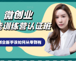 微创业全能训练营认证班课程，从理论知识与实际案例手把手指导创业新手如何从零到有-淘金日记