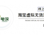 龟课·淘宝虚拟无货源电商5期，全程直播 现场实操，一步步教你轻松实现躺赚-淘金日记