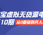 淘宝虚拟无货源电商第10期:从0基础到月入N万,全程实操,可批量操作-淘金日记