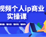 短视频个人ip商业实操课： 懂流量、懂内容、懂变现、懂架构（价值999元）-淘金日记