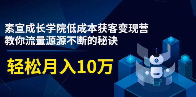 素宣成长学院低成本获客变现营,教你流量源源不断的秘诀,轻松月入10万-淘金日记