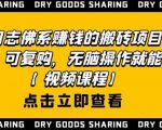 强子日志佛系赚钱的搬砖项目,需求大,可复购,无脑操作就能收钱-淘金日记