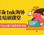 最新Tiktok海外掘金培训课堂:带你玩转Tiktok暴力涨粉轻松变现-淘金日记