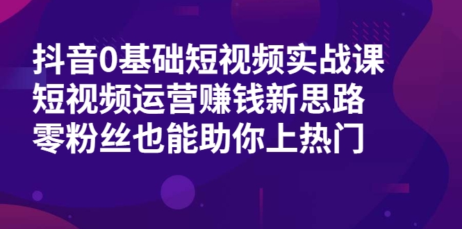 抖音0基础短视频实战课，短视频运营赚钱新思路，零粉丝也能助你上热门-淘金日记
