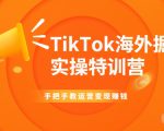 TikTok海外掘金实操特训营:手把手教运营变现赚钱-淘金日记