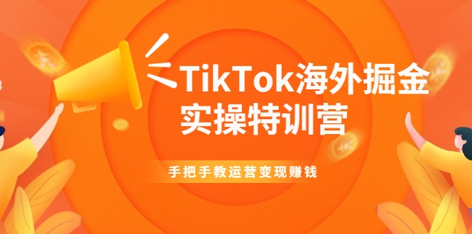 TikTok海外掘金实操特训营：手把手教运营变现赚钱-淘金日记