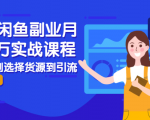 2021闲鱼副业月入过万实战课程：从开店到选择货源到引流，全程实战教学-淘金日记
