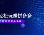 带你轻松玩赚拼多多:花的少 赚的多 爆款更简单 爆款打造流程实操讲解-淘金日记