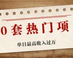 30套热门项目：单日最高收入过万 (网赚项目、朋友圈、涨粉套路、抖音、快手)等-淘金日记