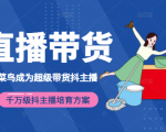 3天从菜鸟成为超级带货抖主播，千万级抖主播培育方案（价值980元）-淘金日记