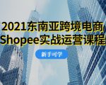 2021东南亚跨境电商Shopee实战运营课程，0基础、0经验、0投资的副业项目-淘金日记