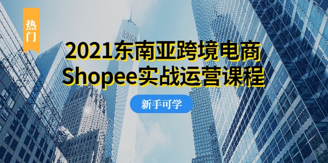 2021东南亚跨境电商Shopee实战运营课程,0基础、0经验、0投资的副业项目-淘金日记