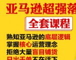 亚马逊超强落地实操全案课程:拒绝大量盲目铺货,日出千单不在话下-淘金日记