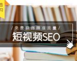 未来新趋势，布局短视频SEO，如何利用抖音SEO免费获得精准流量（3节课）-淘金日记