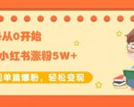 生财小红书涨粉变现：新账号从0开始3个月小红书涨粉5W+实现单篇爆粉-淘金日记