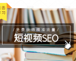 未来新趋势,布局短视频SEO,如何利用抖音SEO免费获得精准流量(3节课)-淘金日记