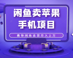 闲鱼卖苹果手机项目,教你闲鱼卖货月入上万-淘金日记