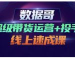 数据哥·超级带货运营+投手线上速成课,快速提升运营和熟悉学会投手技巧-淘金日记