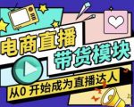 大鹏·电商直播带货课,系统学习直播带货各环节技巧和套路-淘金日记