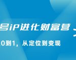 视频号iP进化财富营,从0到1,从定位到变现赚钱(价值1577元)-淘金日记