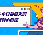 新手小白都能火的短视频必修课,教你三天就能上热门的短视频IP技术-淘金日记