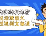 文案实操训练营,只说话就能火的短视频文案课-淘金日记