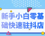 抖音小店新手小白零基础快速入驻抖店100%开通（全套11节课程）-淘金日记