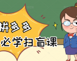 拼多多商家开店入门必学,0基础新手小白扫盲课(58节视频课程)-淘金日记