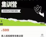 夜草与千里马素人短视频带货集训营,薛辉团队价值599-淘金日记