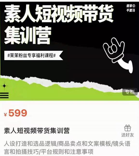 夜草与千里马素人短视频带货集训营,薛辉团队价值599-淘金日记