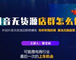 蟹老板·抖音无货源店群怎么做,吊打市面一大片《抖音无货源店群》的课程-淘金日记