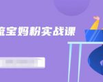百度贴吧引流宝妈粉实战课,小白也可以日引100+精准粉-淘金日记
