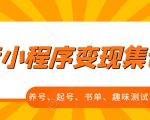 抖音小程序变现集训课,养号、起号、书单、趣味测试、视频剪辑,全套流程-淘金日记