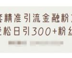 1套精准引流金融粉方法,轻松日引300+粉丝-淘金日记