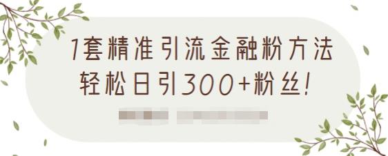 1套精准引流金融粉方法，轻松日引300+粉丝-淘金日记