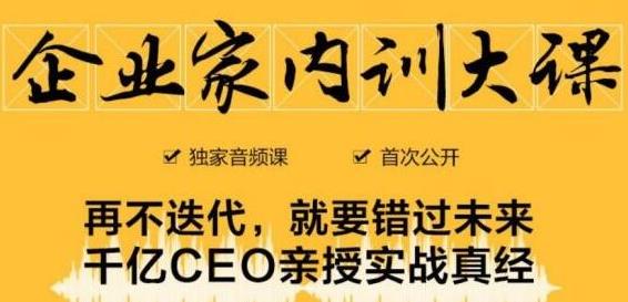 企业家内训大课，未来企业必学经验，价值1299元-淘金日记
