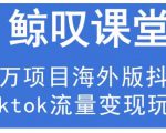 鲸叹号·海外TIKTOK训练营,百万项目海外版抖音tiktok流量变现玩法-淘金日记