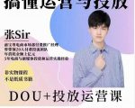 张sir的dou+投放运营课:搞懂运营与投放,全面提升账号的流量运营效率-淘金日记