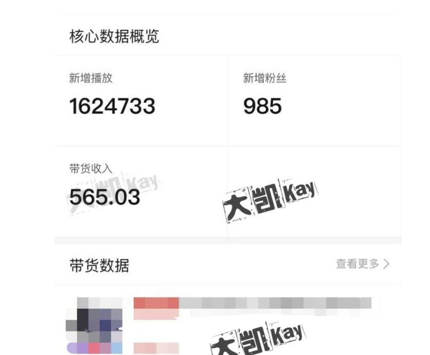 大凯进阶圈新玩法之拼多多视频玩法,利润大概一个号一天能有500~1500的左右!-淘金日记