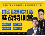 玺承云·拼多多爆款打造实战特训营,一套从入门到高手课程,让你快速拿捏拼多多-淘金日记