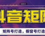 高鹏圈·抖音带货矩阵项目，起号成功率100%，出单率100%！-淘金日记