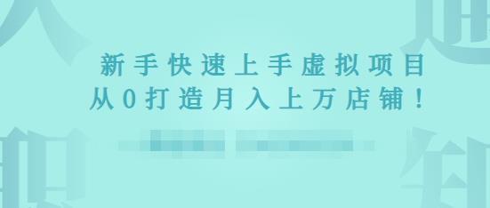 2022年虚拟项目实战指南，新手从0打造月入上万店铺-淘金日记
