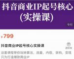抖音商业IP起号核心实操课，带你玩转算法，流量，内容，架构，变现-淘金日记