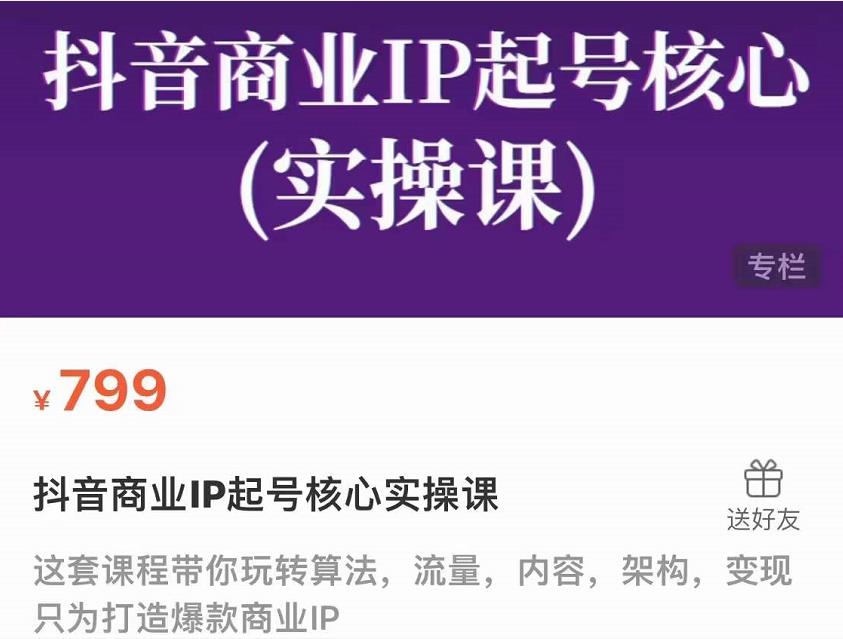 抖音商业IP起号核心实操课,带你玩转算法,流量,内容,架构,变现-淘金日记