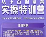 Seven漆·2022Tiktok从小白到精英实操特训营,带你掌握Tiktok账号运营-淘金日记