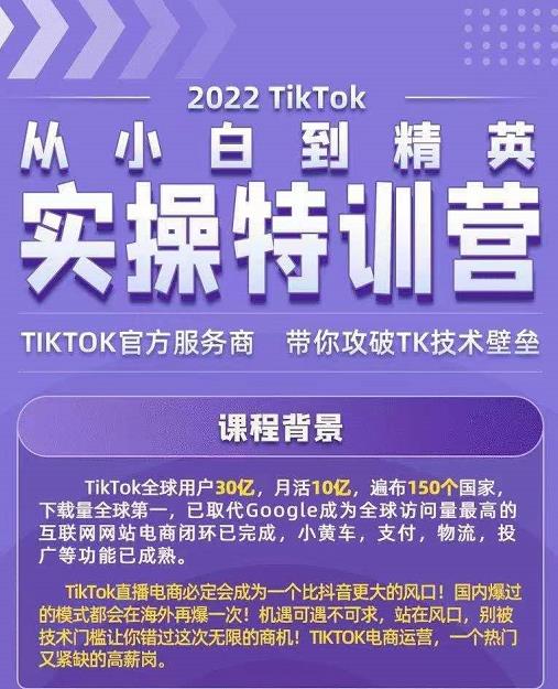 Seven漆·2022Tiktok从小白到精英实操特训营,带你掌握Tiktok账号运营-淘金日记