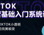 Tiktok实操进阶课程，体验从tiktok小透明到大佬的完美蜕变-淘金日记